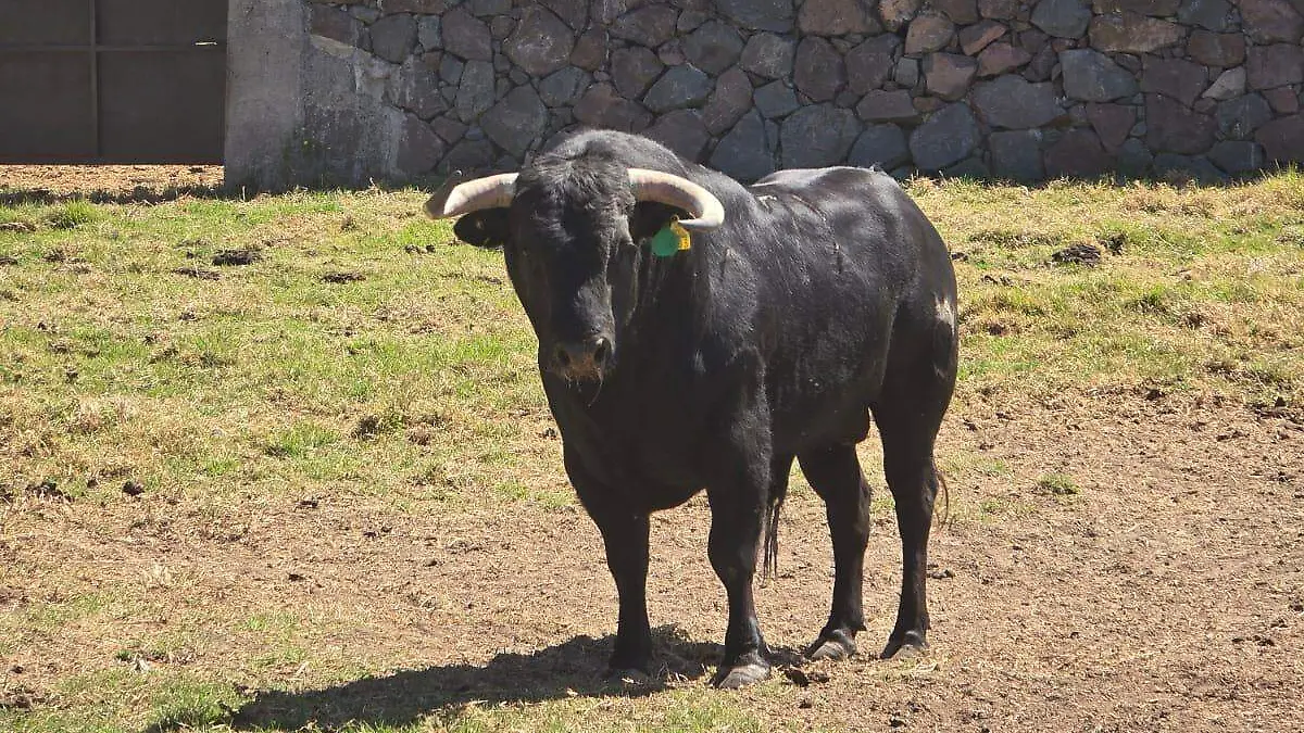 WhatsApp Image 2026-03-01 at 11.50.57 AM