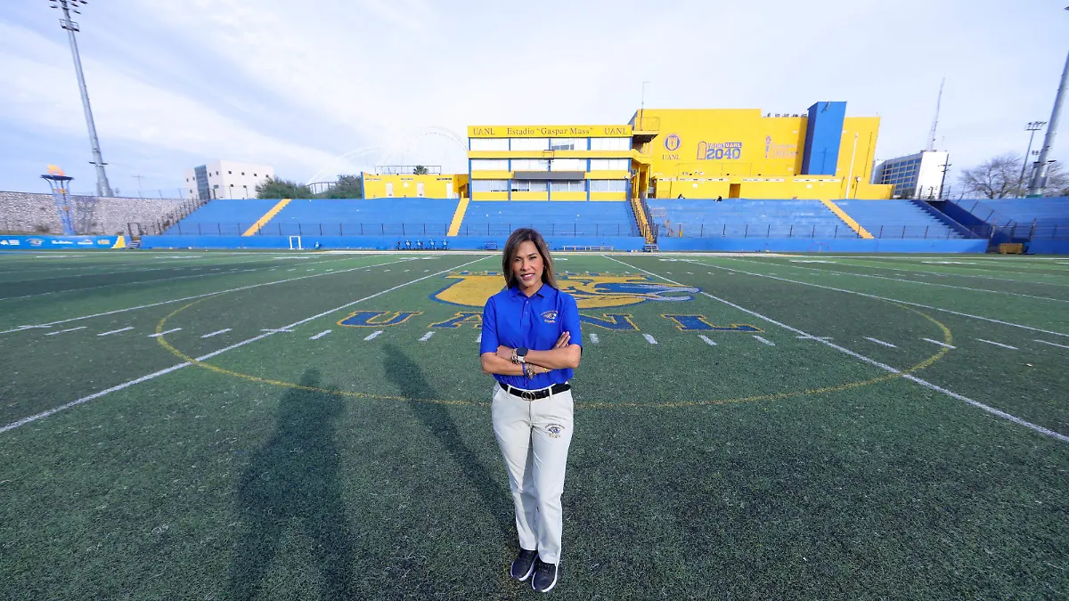 Tigres 