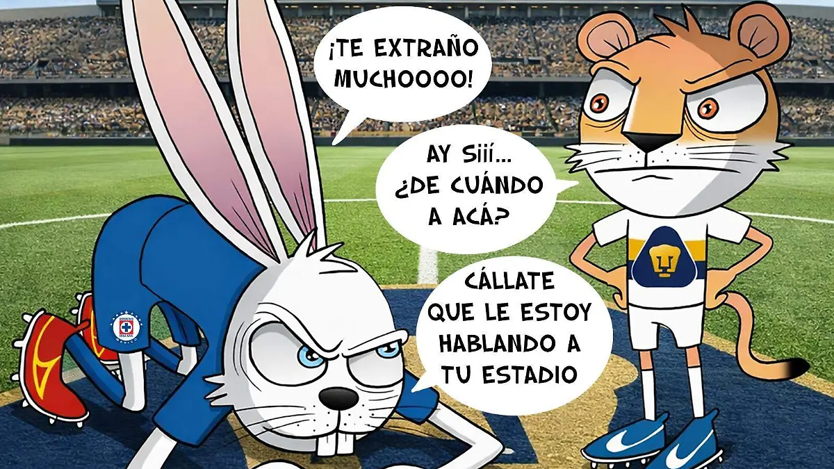 WhatsApp Image 2026-03-13 at 8.22.12 PM