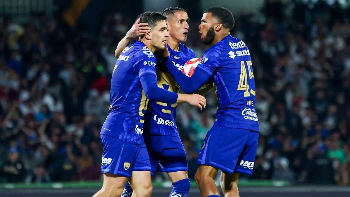 WhatsApp Image 2026-03-14 at 23.08.15