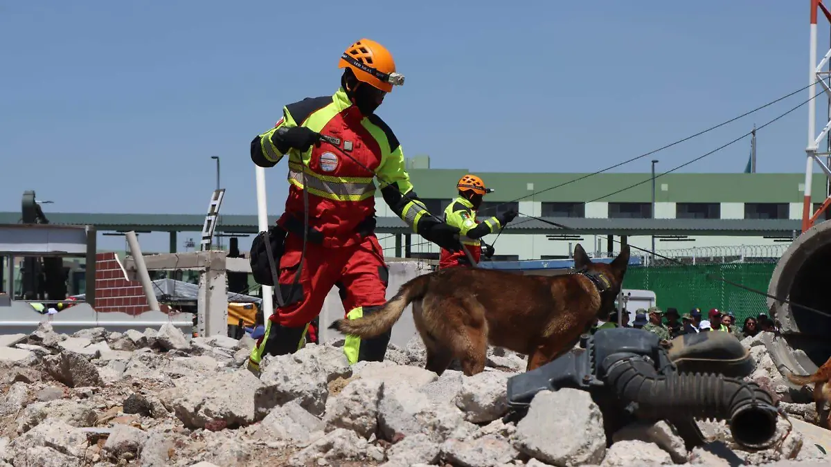 WhatsApp Image 2026-03-19 at 4.06.28 PM