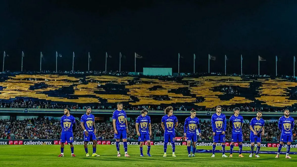 WhatsApp Image 2026-03-21 at 21.21.30