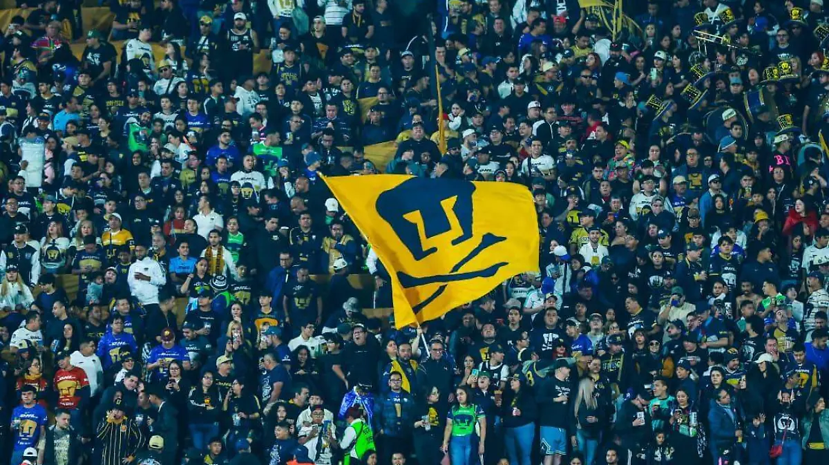 WhatsApp Image 2026-03-21 at 20.56.19