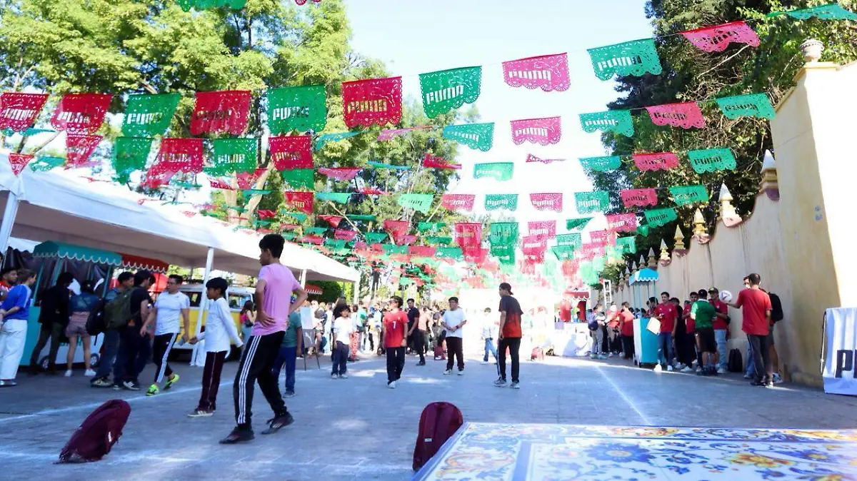 WhatsApp Image 2026-03-26 at 6.39.00 PM