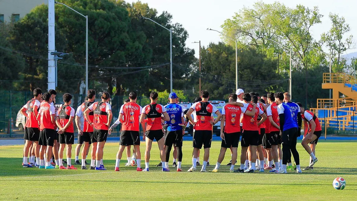 WhatsApp Image 2026-03-27 at 7.31.49 PM