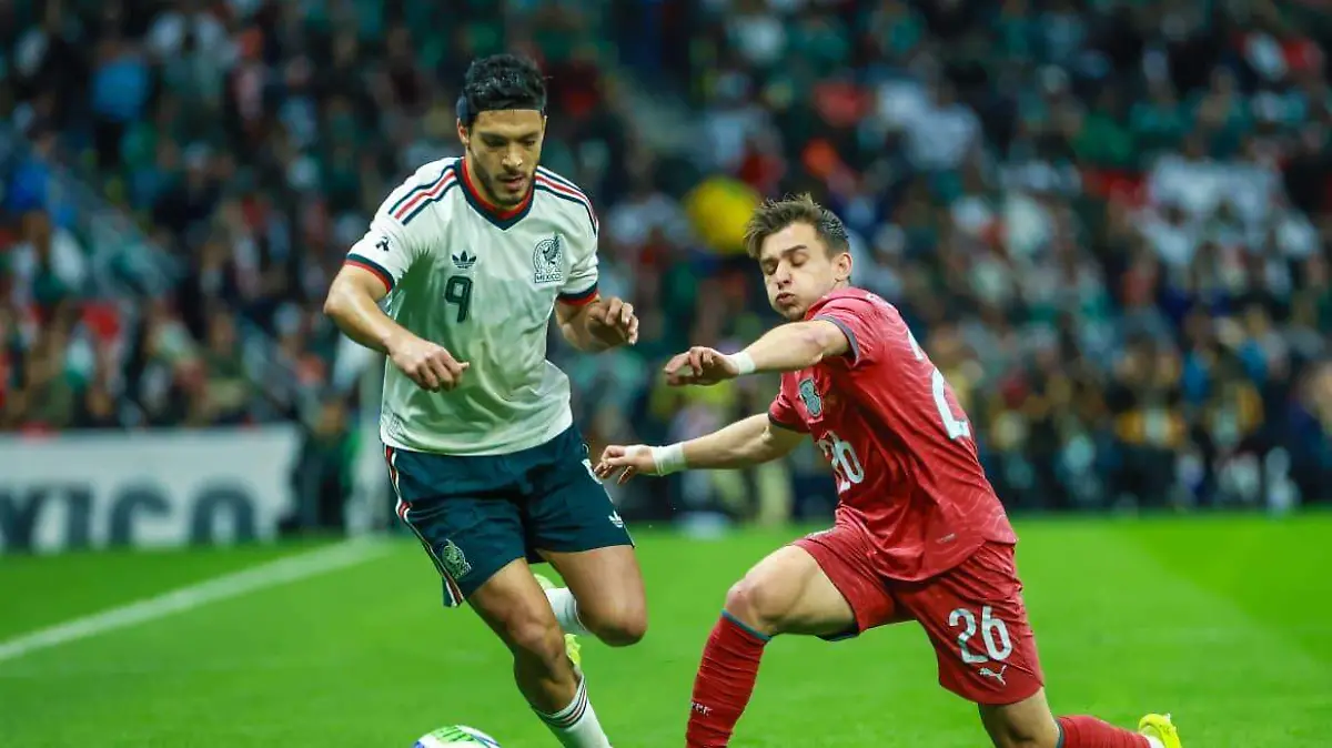 WhatsApp Image 2026-03-28 at 7.41.55 PM