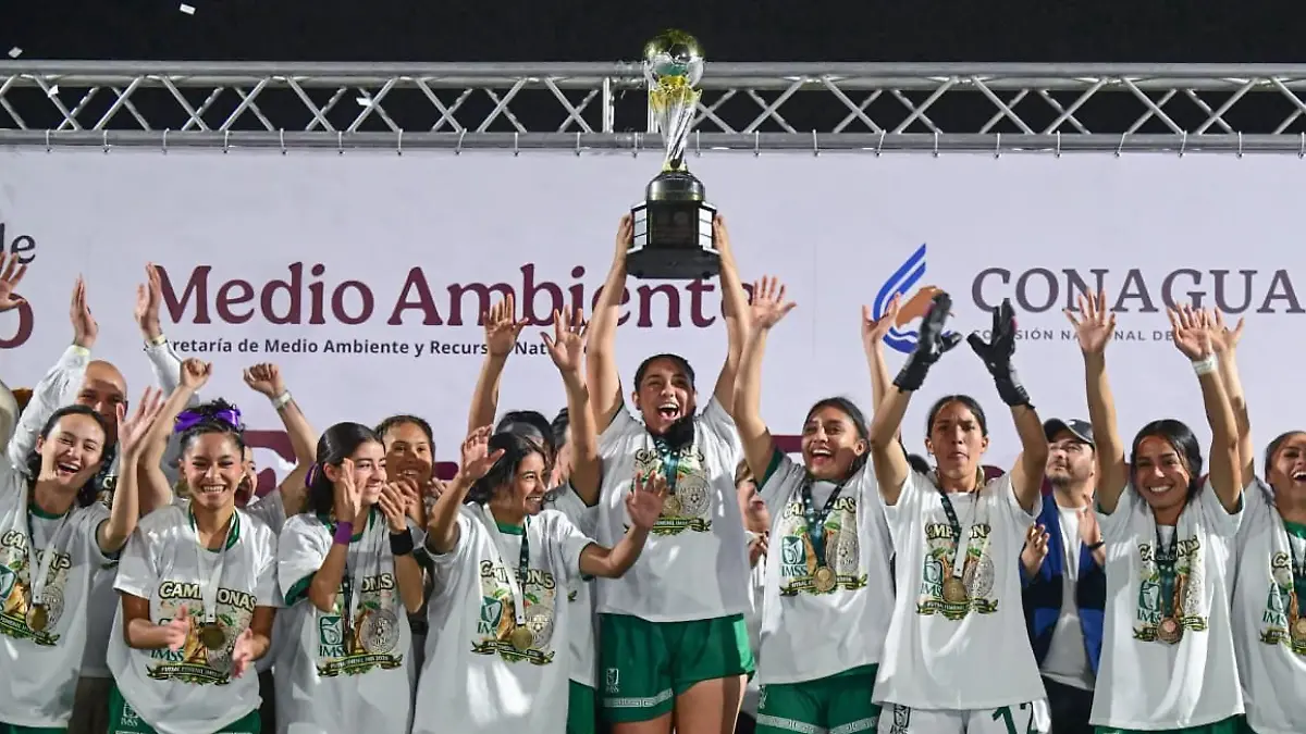 Proyecto nuevo - 2026-03-30T135200.403