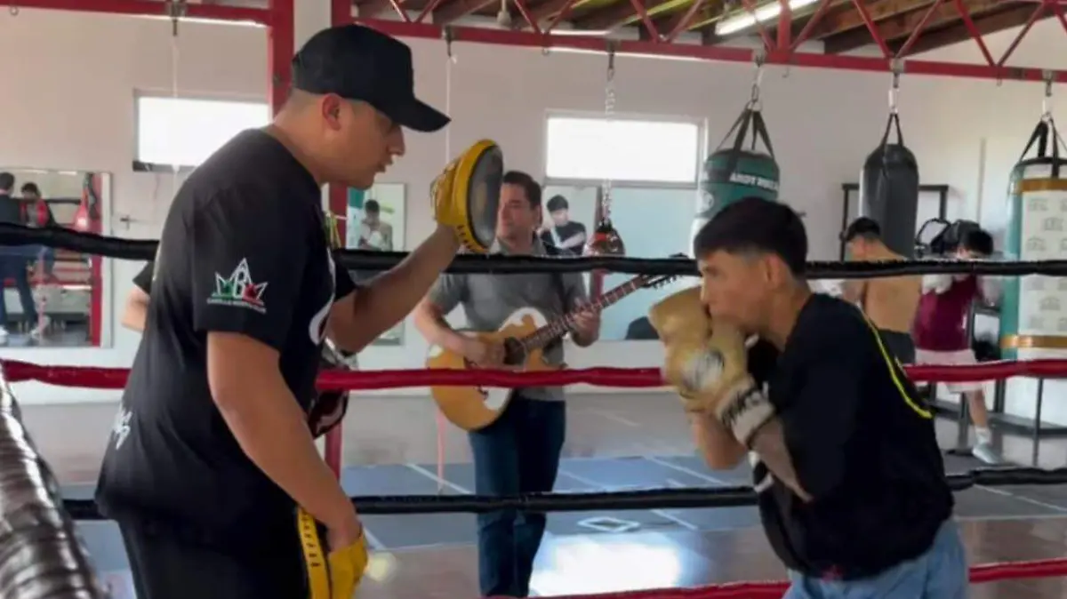 d884404e-28f2-4d47-94b0-7624c8bee306