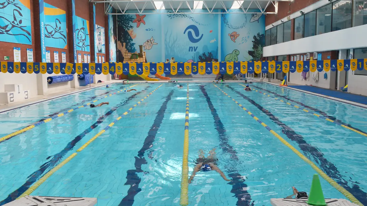 Proyecto nuevo - 2026-04-05T204322.569