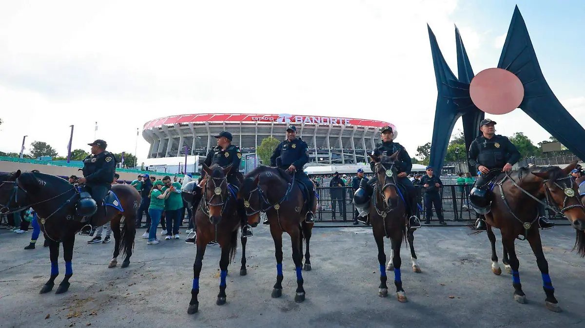 WhatsApp Image 2026-04-06 at 5.17.05 PM (1)