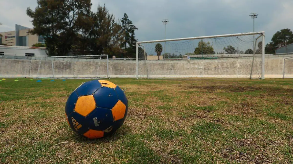 WhatsApp Image 2026-04-08 at 6.06.21 PM