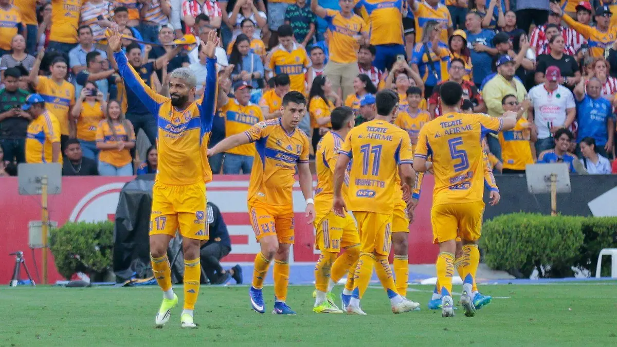 WhatsApp Image 2026-04-11 at 5.48.53 PM