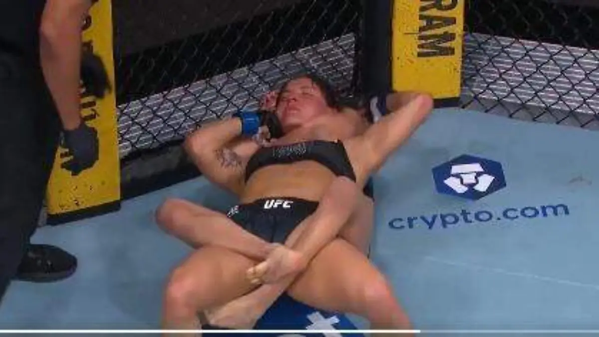 WhatsApp Image 2026-04-11 at 19.32.04