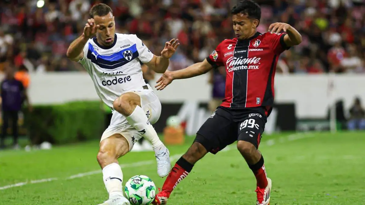 WhatsApp Image 2026-04-11 at 20.59.38