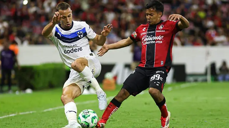 WhatsApp Image 2026-04-11 at 20.59.38