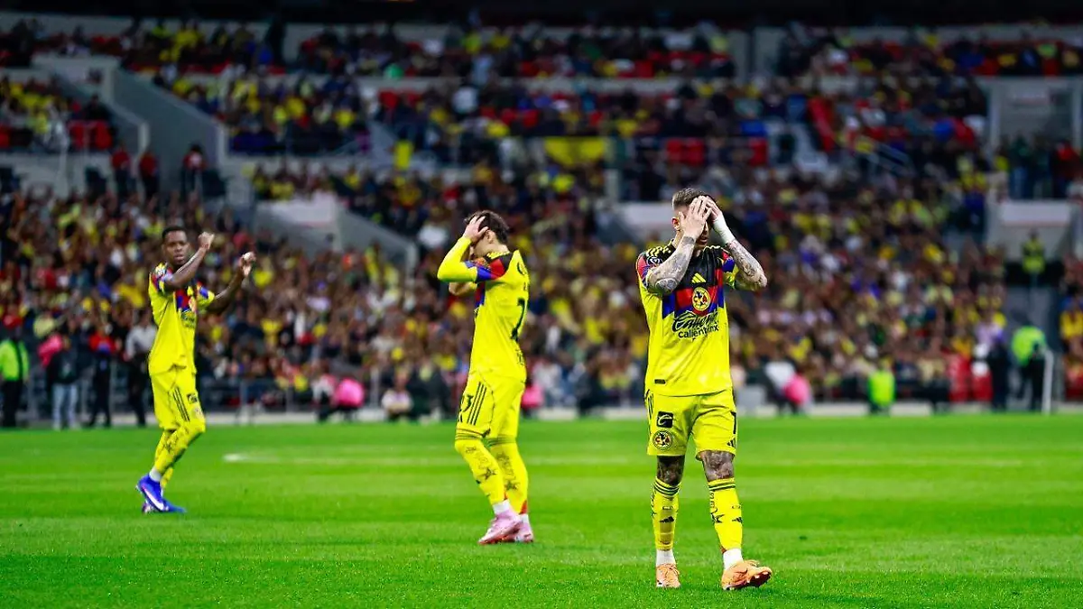 WhatsApp Image 2026-04-14 at 11.03.45 PM