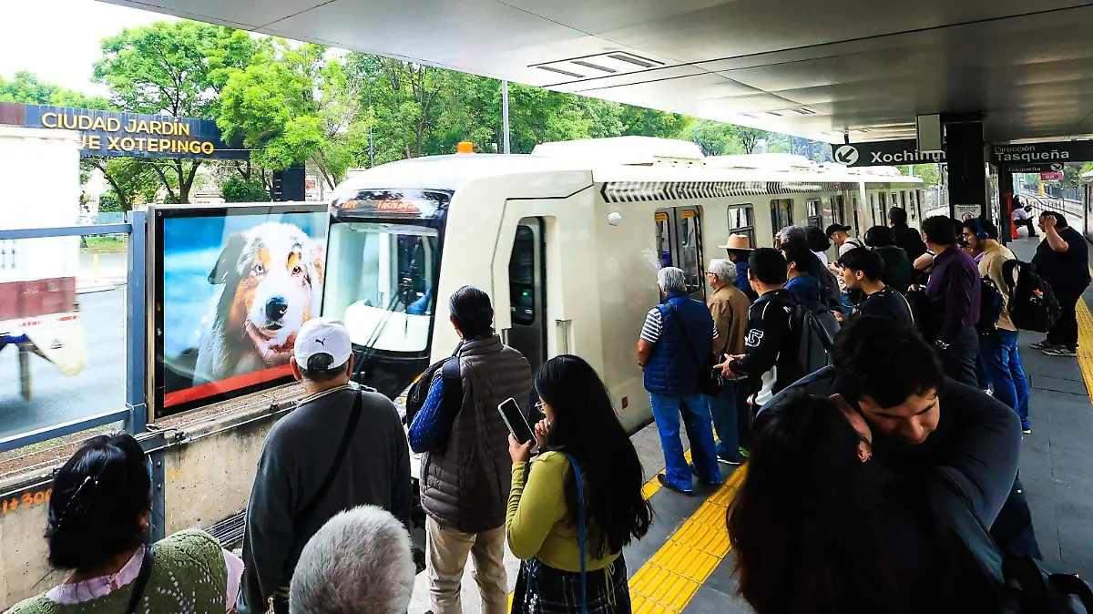 El Tren Ligero todavía no funciona al 100% 