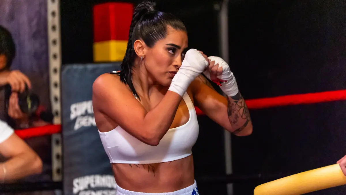 Captura de pantalla 2026-04-24 213830