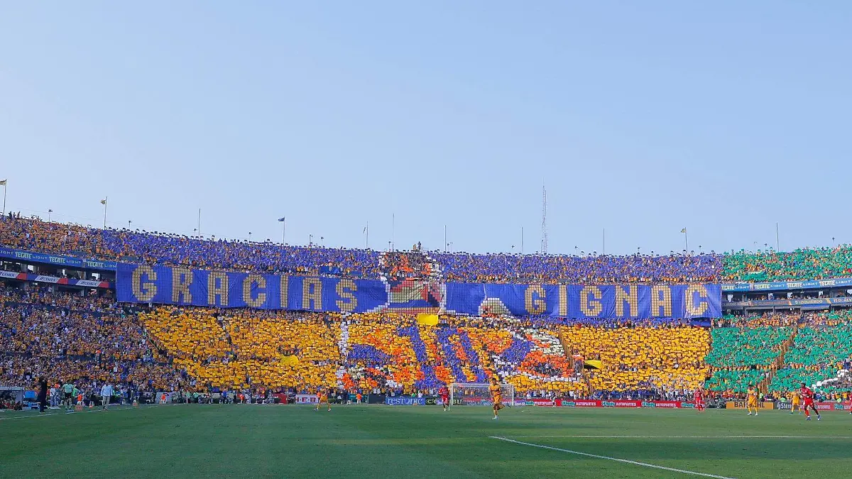 WhatsApp Image 2026-04-25 at 17.24.35