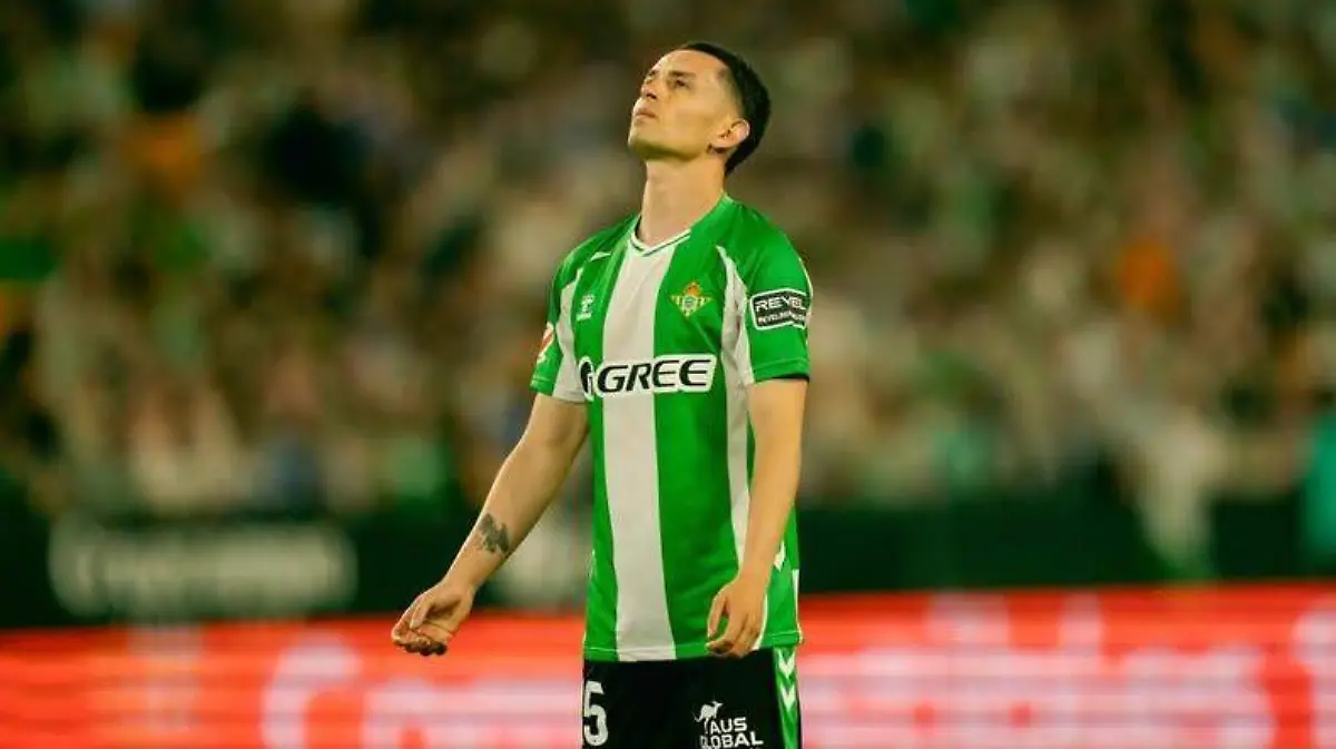 💚🤍