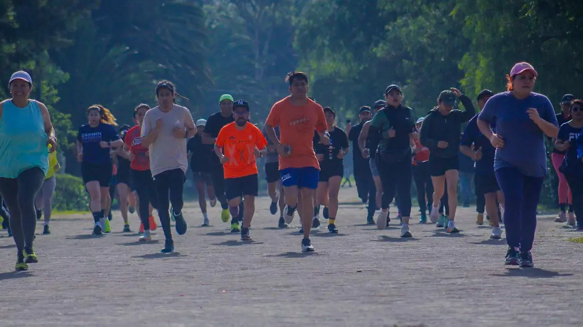 MARATÓN CDXM