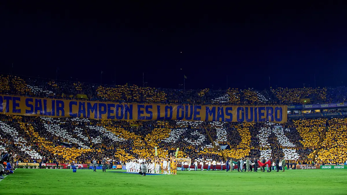 tigres1