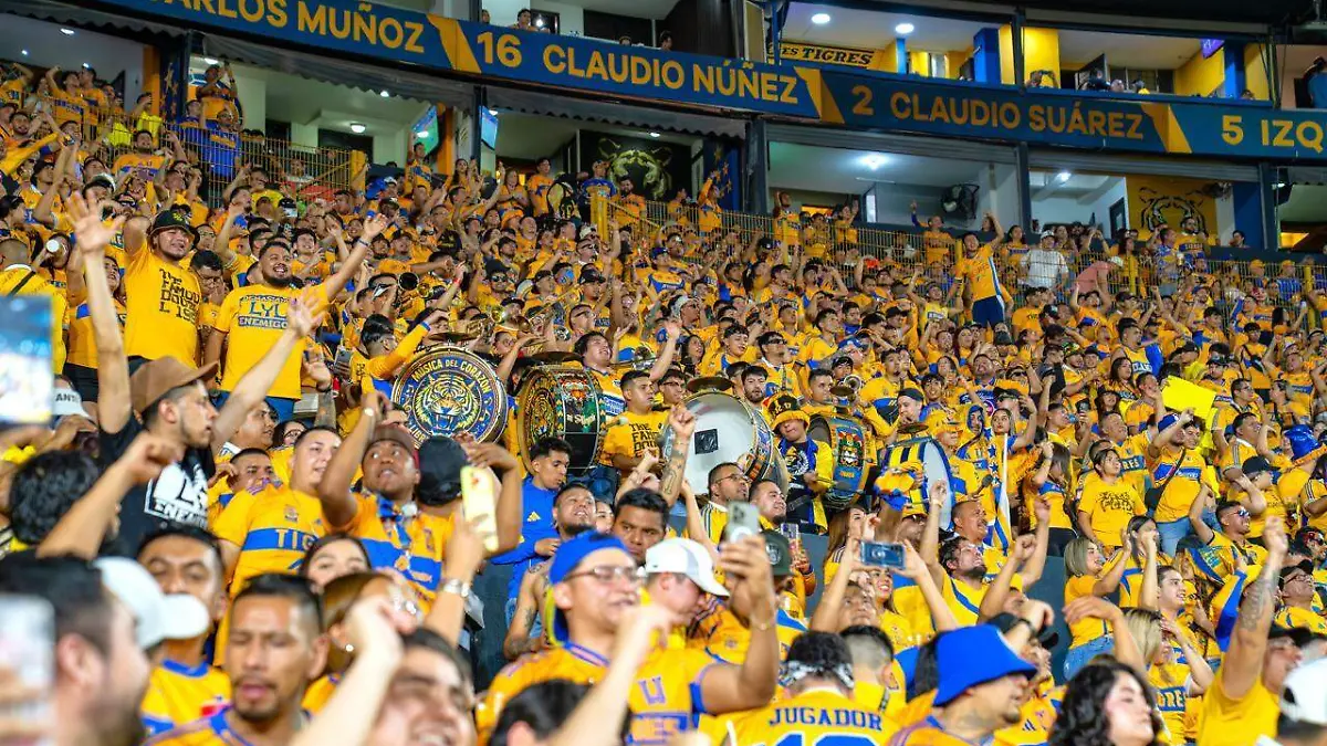 tigres 1