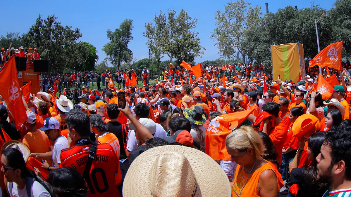 Invasión naranja en Monterrey