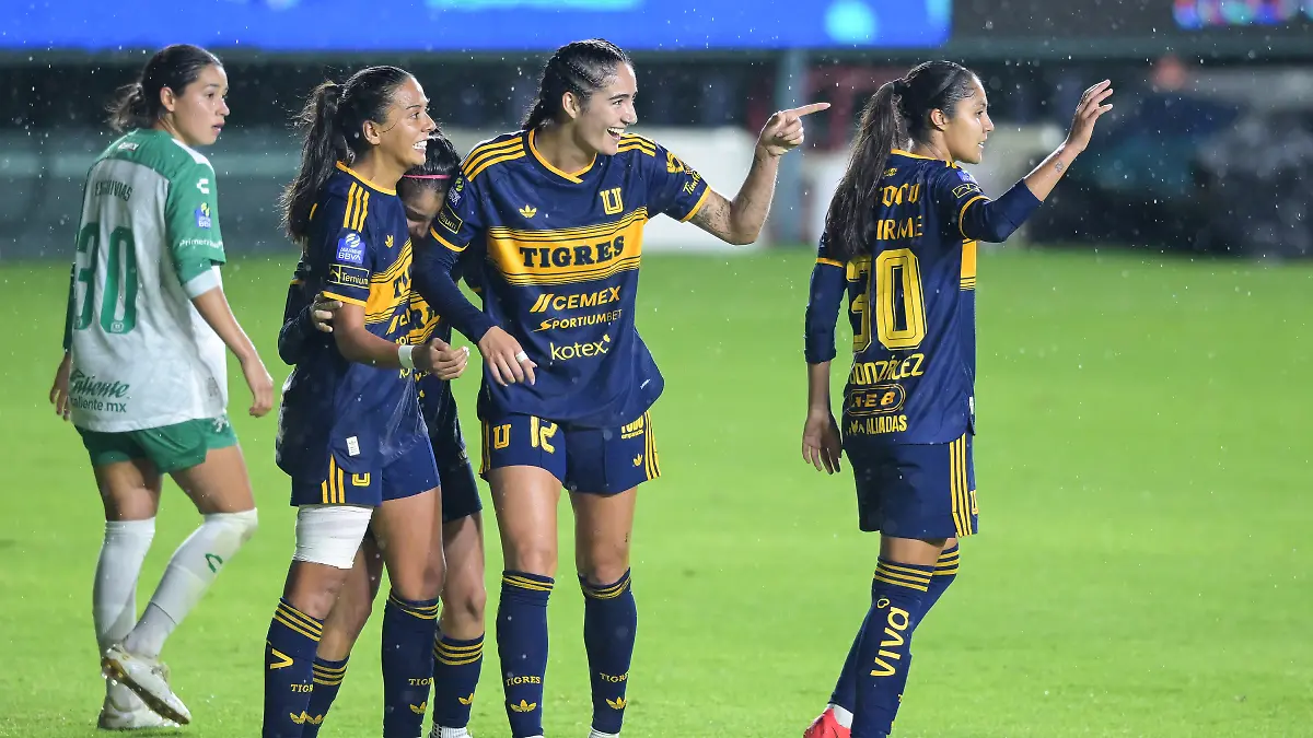 Tigres Femenil s