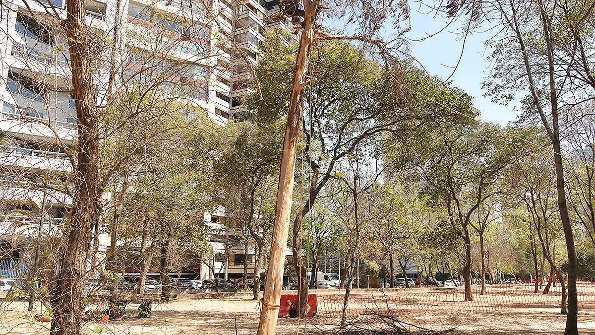 Rehabilitación del Parque República de Líbano-4