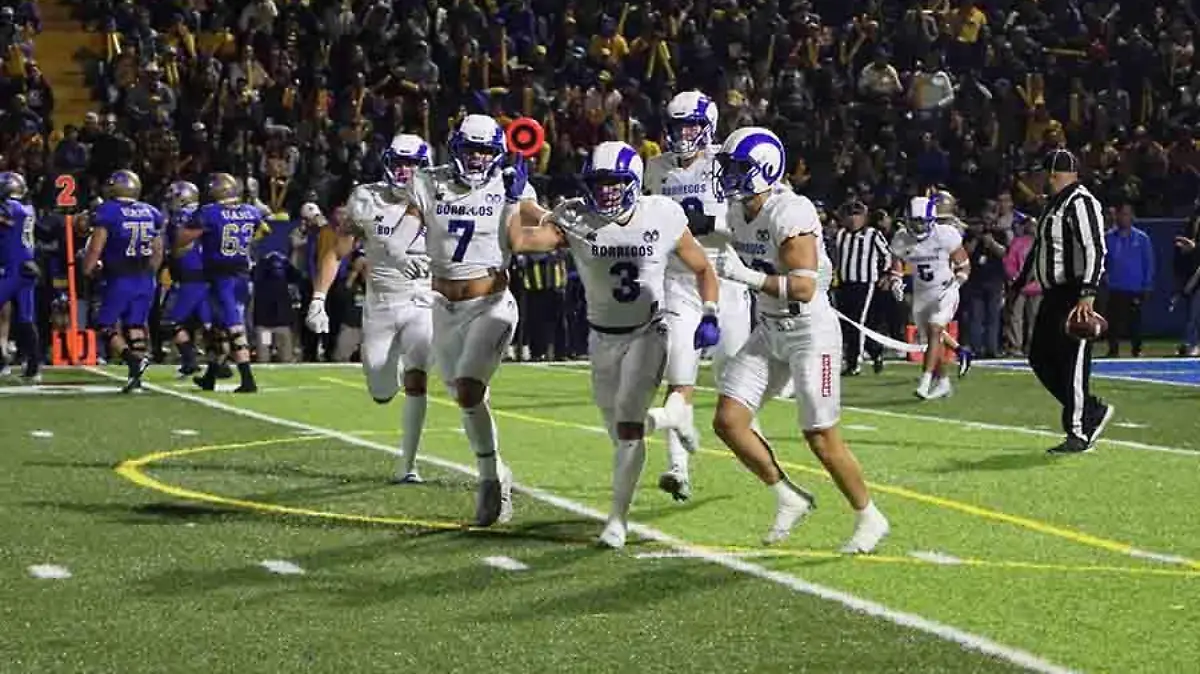 BOICMAPOENES 3 moterrey