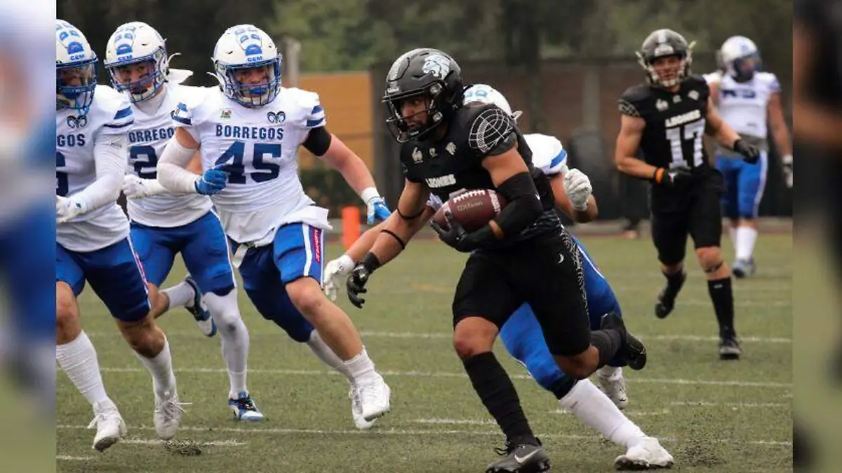 Fb Leones Anáhuac México