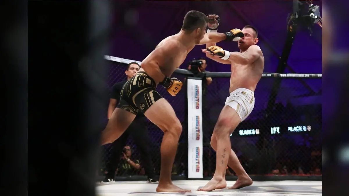 lux _Edgar Cebollero Delgado 2 cortesia