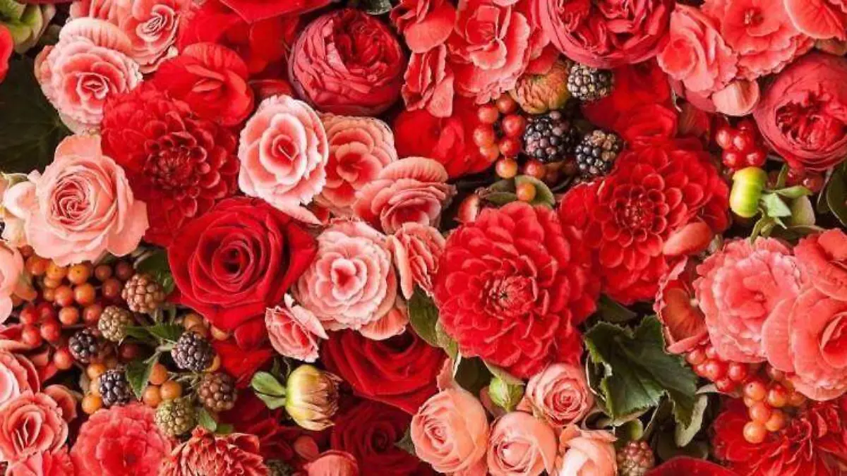 flores