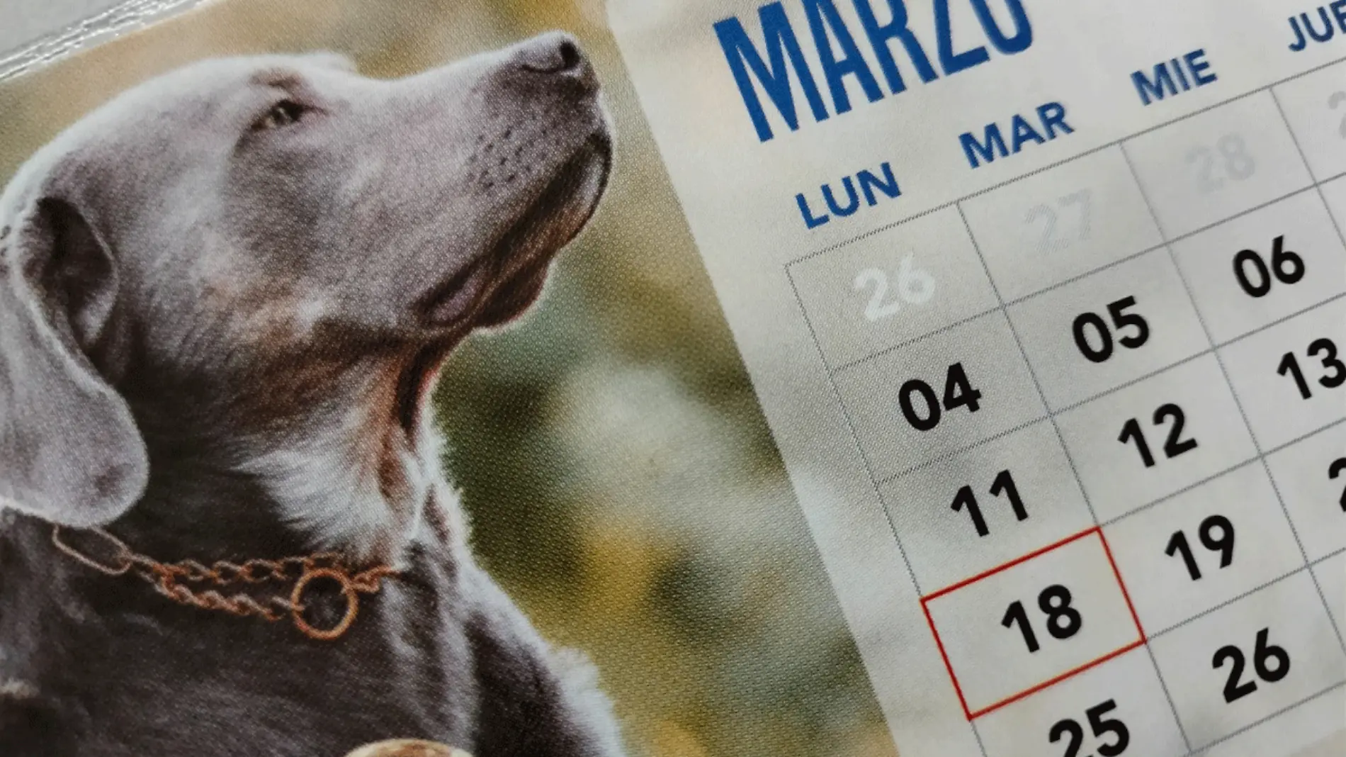 marzo