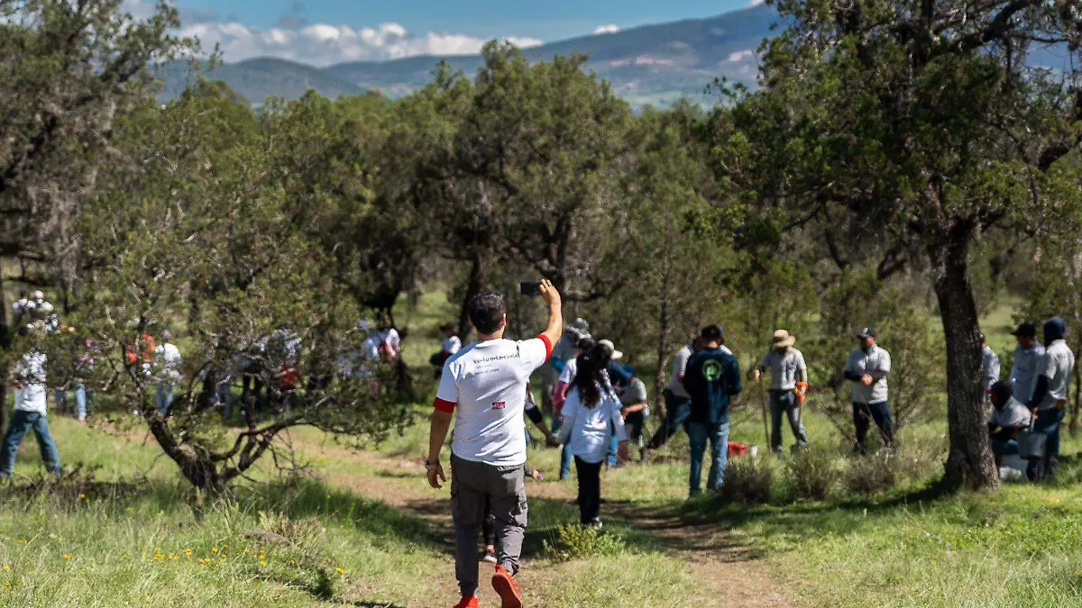Autoridades de Tlaxcala, empresas y la comunidad local implementan programa de reforestación en Atlangatepec-int3