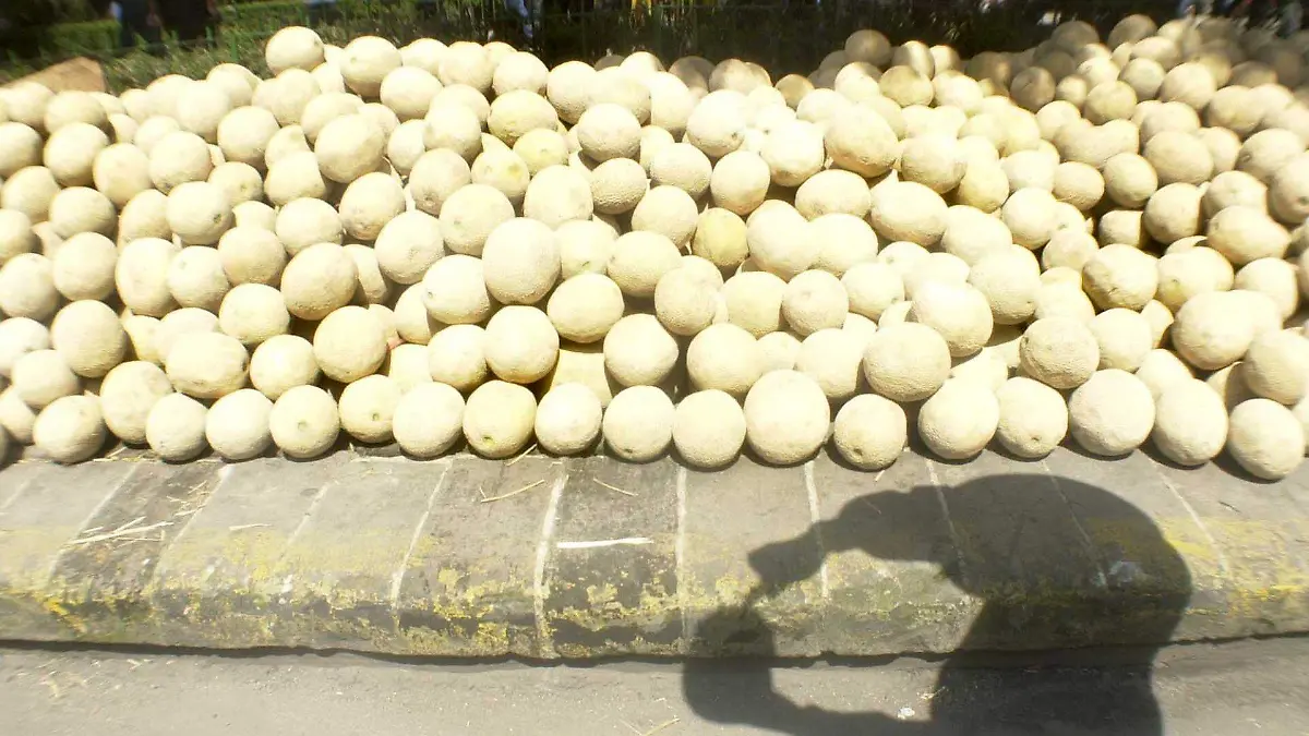 18894_Productores de melón, Venta._web