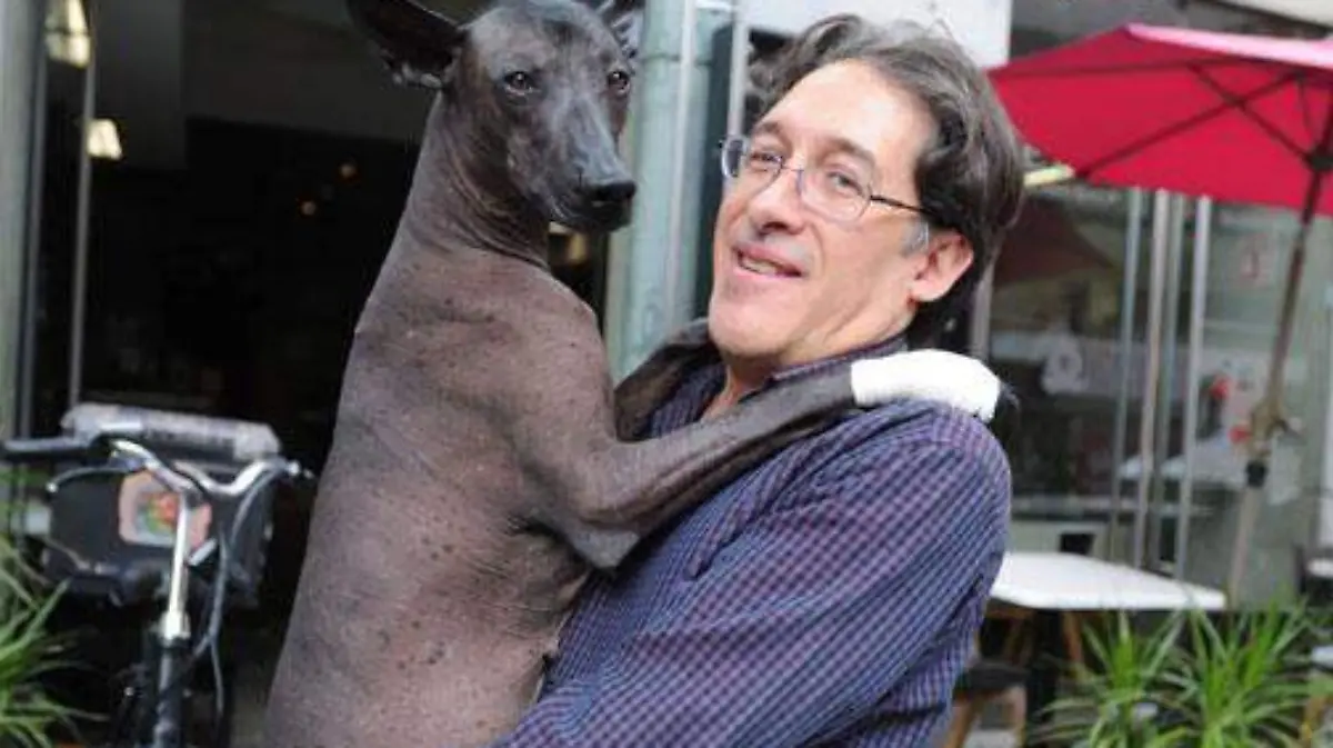 Ser Pet Friendly debe considerarse como un tema de salud pública, afirma la Comvemex