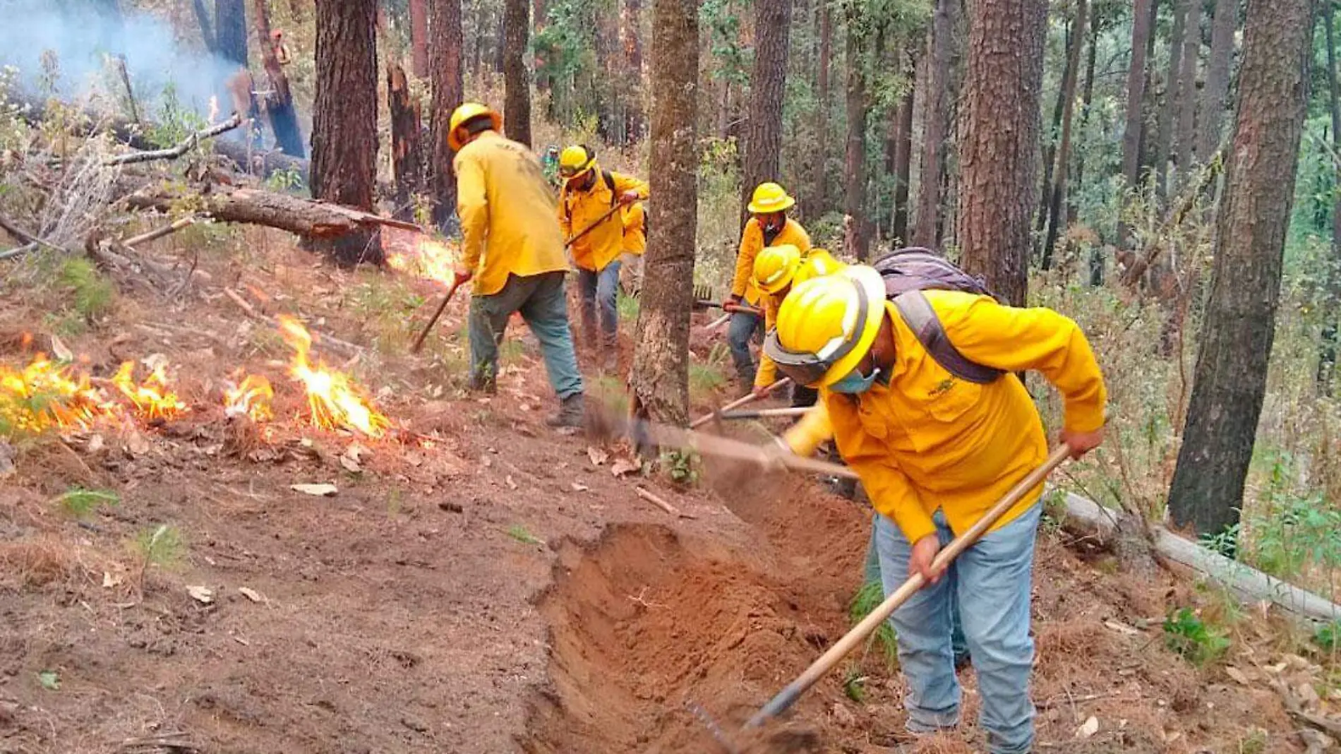 Bomberos