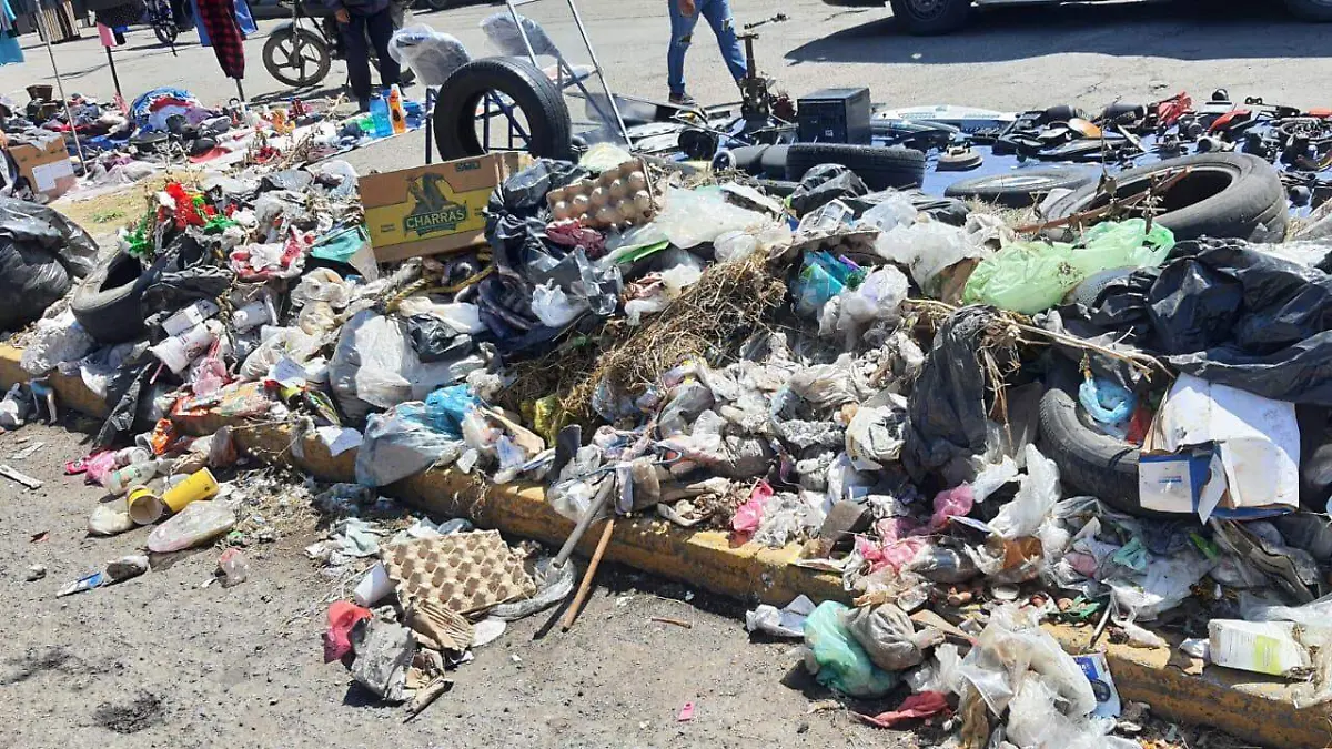 Aplicará Edomex programa Basura Cero como en CDMX-int2