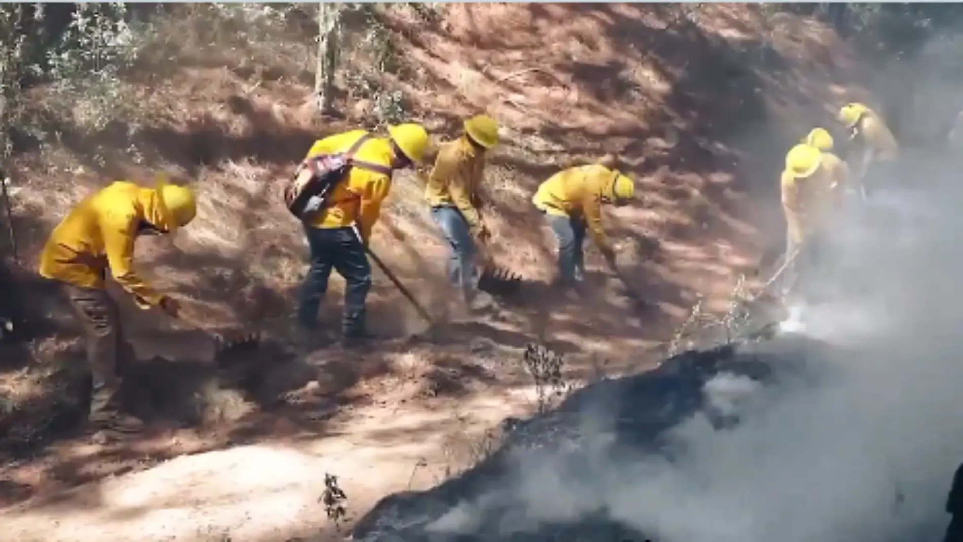 INCENDIOS-EDOMEX1