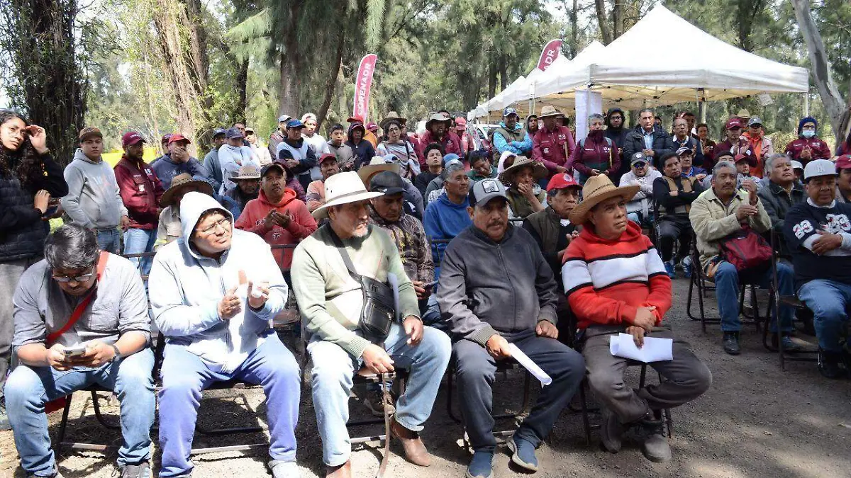 Entregó Sedema semilla de romeritos a productores de San Andrés Mixquic