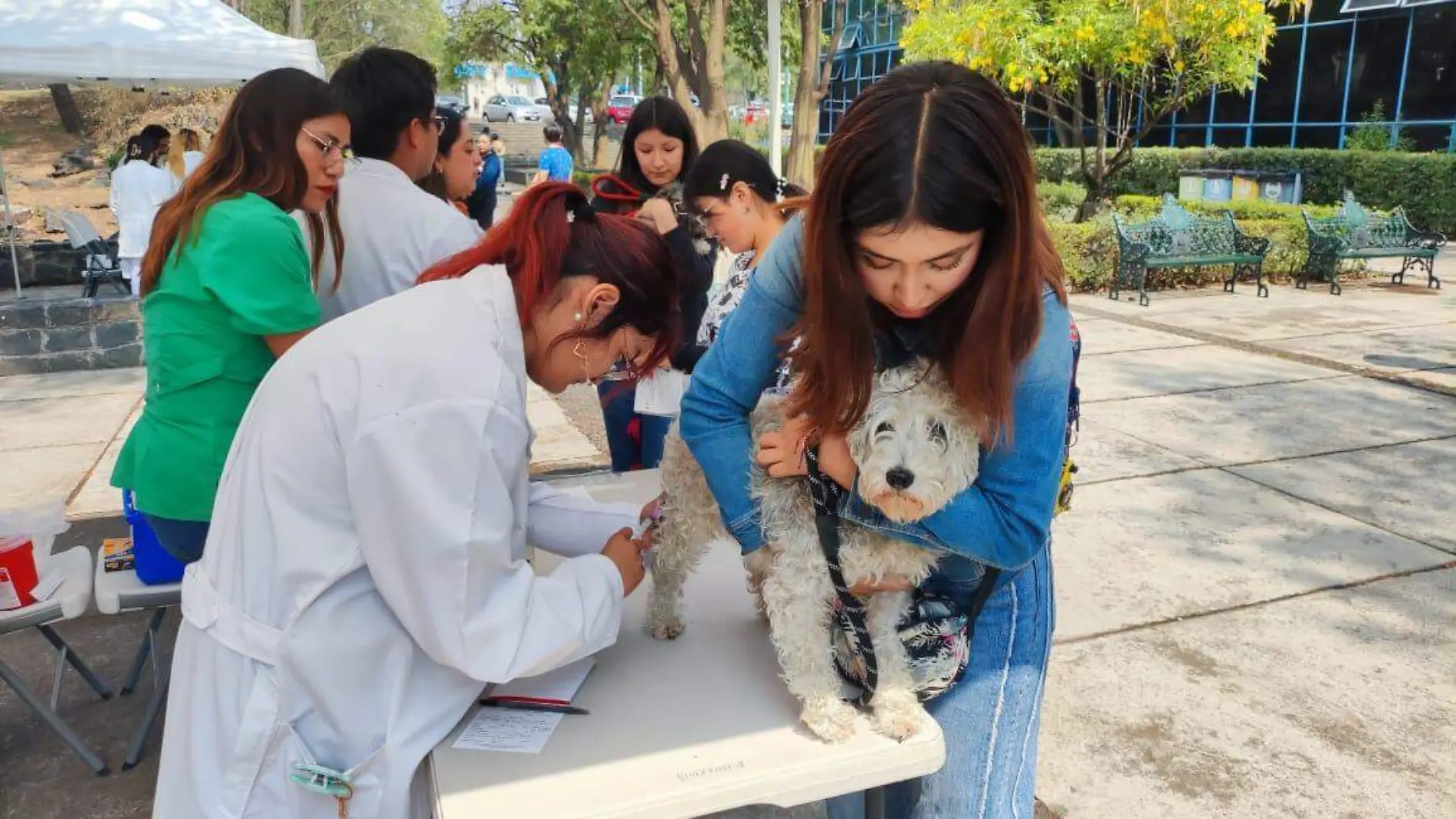 DIADELPERRO-VACUNACION-UNAM