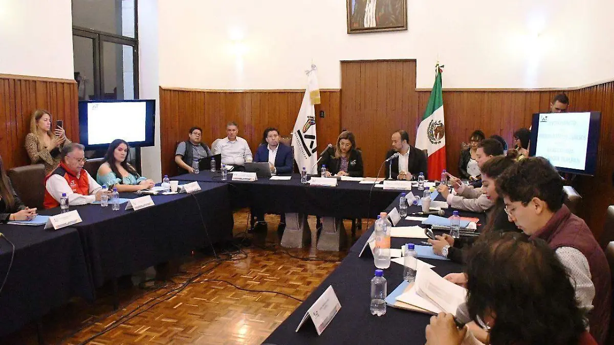 consejo tlalpan CORTESIA