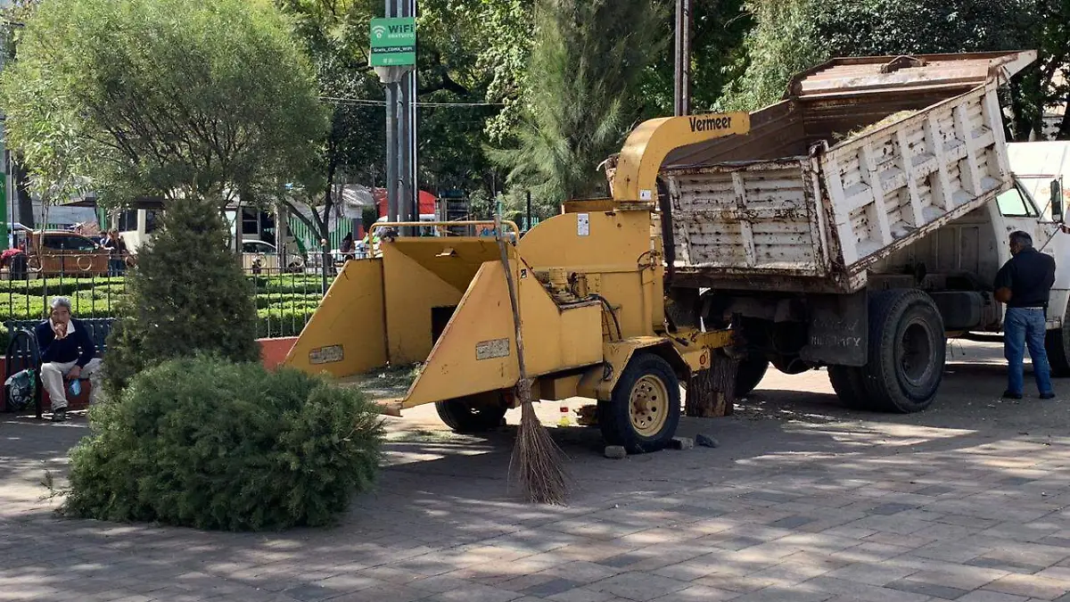 WhatsApp Image 2024-01-10 at 2.11.01 PM