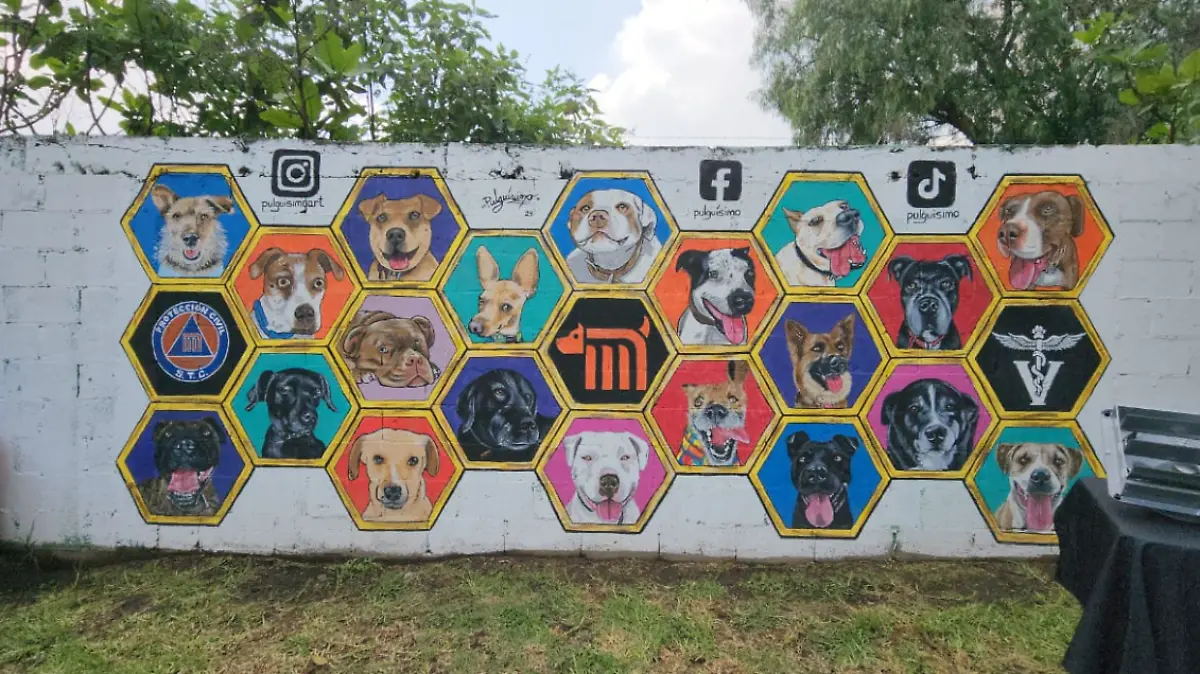 Conmemora Metro su séptimo año al cuidado de los lomitos en el Centro de Transferencia Canina 4 