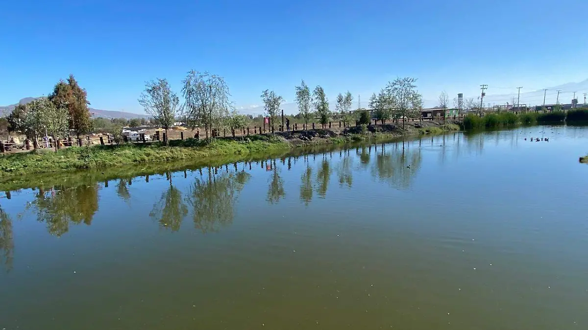 Programa de la Corenadr creará humedales domésticos en Xochimilco-INT3