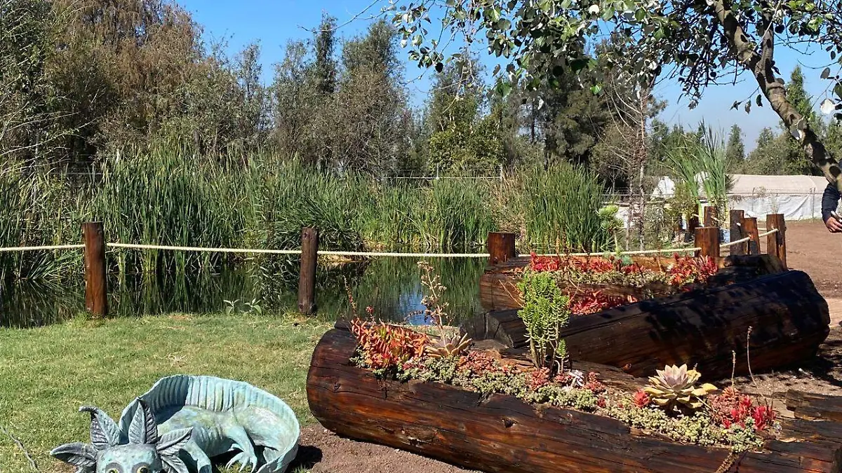 Programa de la Corenadr creará humedales domésticos en Xochimilco-INT2