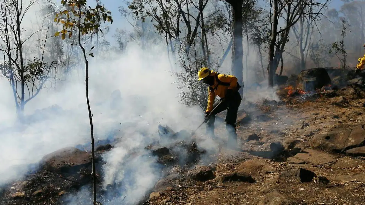 Emite Edomex decálogo para combatir incendios 