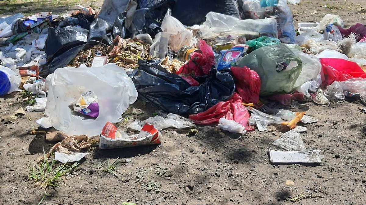 Aplicará Edomex programa Basura Cero como en CDMX-int5